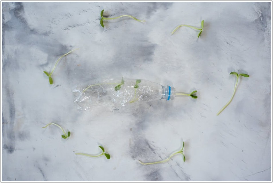 내게 맞는 보틀 찾기: 플라스틱, 유리, 무엇을 선택할까?