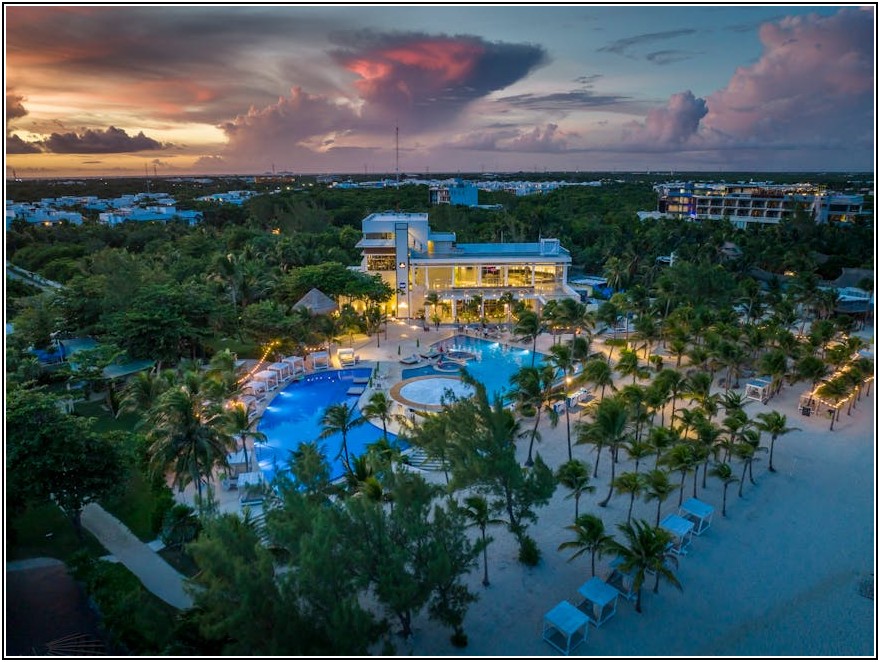 식품부터 화장품까지, 카아민의 무궁무진한 매력