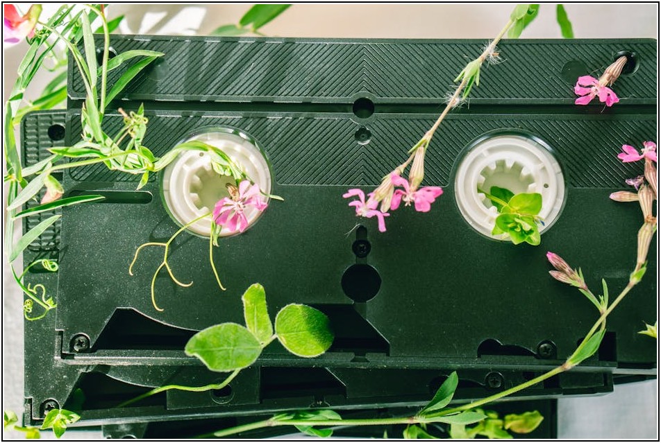 플라스틱 컵의 놀라운 변신, 친환경 소재 완벽 해부