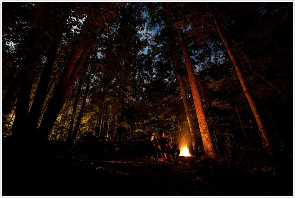 소방 헤드, 법규와 설치 기준 완벽 이해