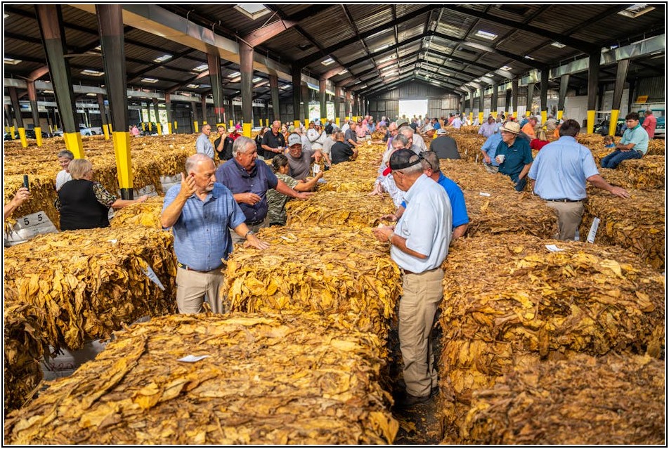 공유물분할 경매, 전문가처럼 똑똑하게 준비하는 법
