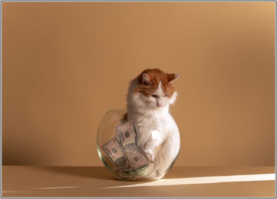 예술 투자 성공 방정식: 유망 작가와 작품을 고르는 비법