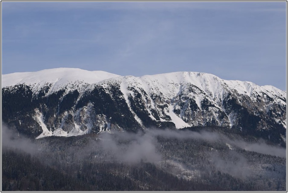 춥다고 포기마세요! 냉기차단매트로 집 안 온도 UP!