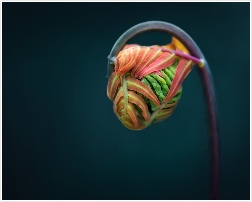 육가공 공장의 비밀, 안전 먹거리 위생 관리법