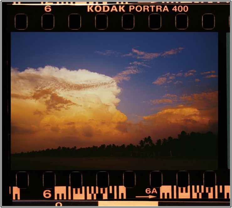 AI 이미지로 돈 버는 법: 저작권 이슈부터 성공 전략까지