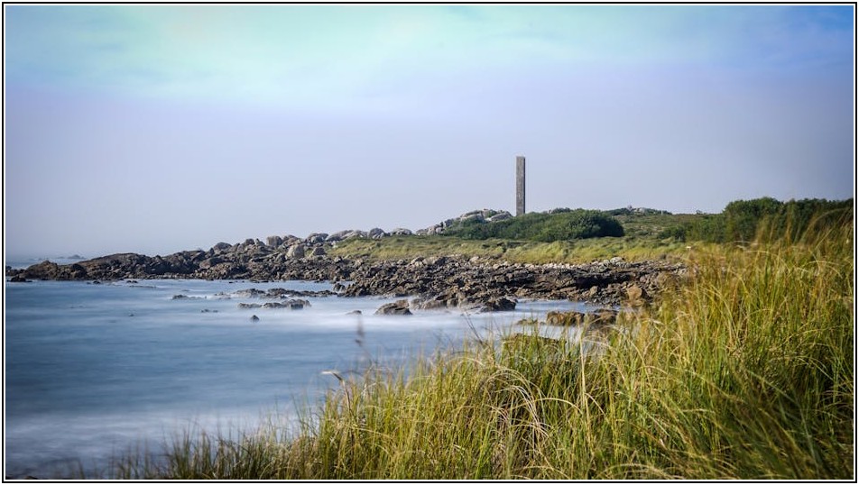 집에서 즐기는 멍게비빔밥: 초간단 레시피 공개