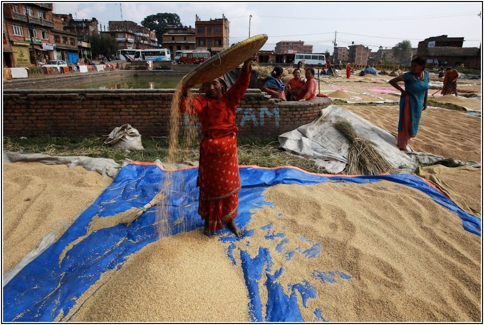 화물차 천막 선택 가이드: 종류별 장단점 총정리