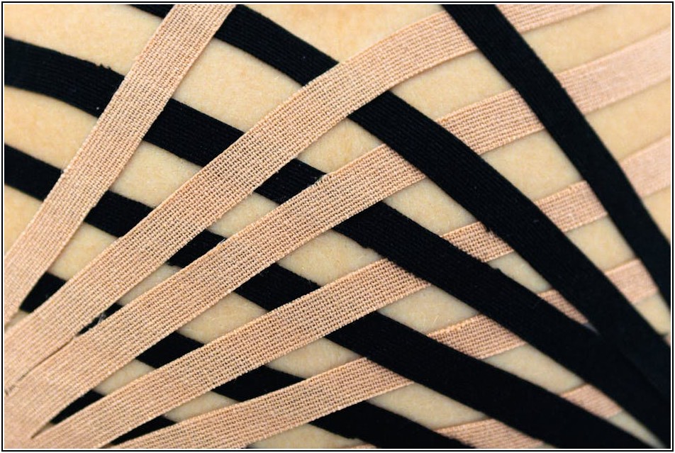 신체 손해사정사 연봉, 전망까지 완벽 분석