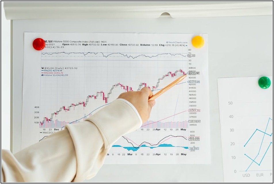 주식 청약 완벽 가이드: IPO 성공 전략