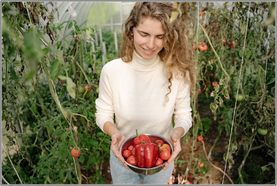 저렴한 폴리카보네이트 온실, 똑똑하게 구매하는 방법