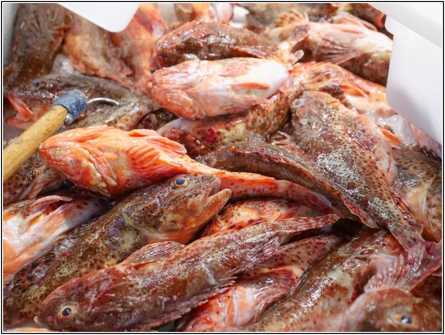 판매 성장 비결, 고객 관리와 차별화된 서비스 전략