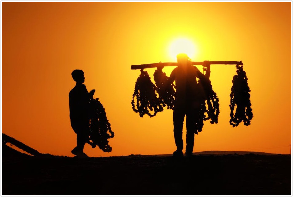 사장님 필독! 사업자명판 제작, 이것만 알면 끝