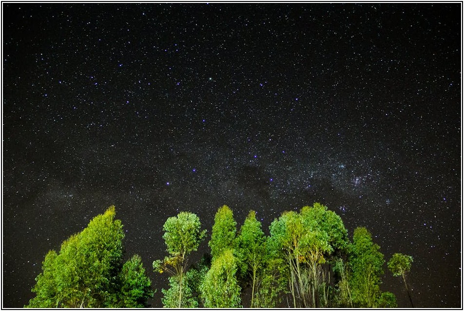 밤의 여왕, 야간 청소 시간 관리로 집안을 새롭게