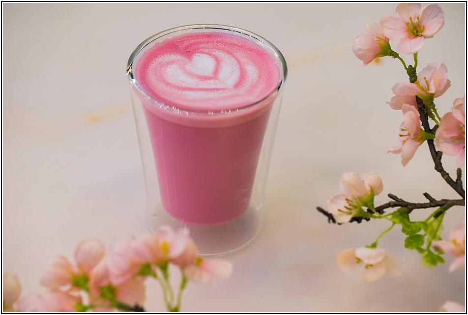 맛있는 참치 고르는 기준, 이걸 알면 실패 없어요