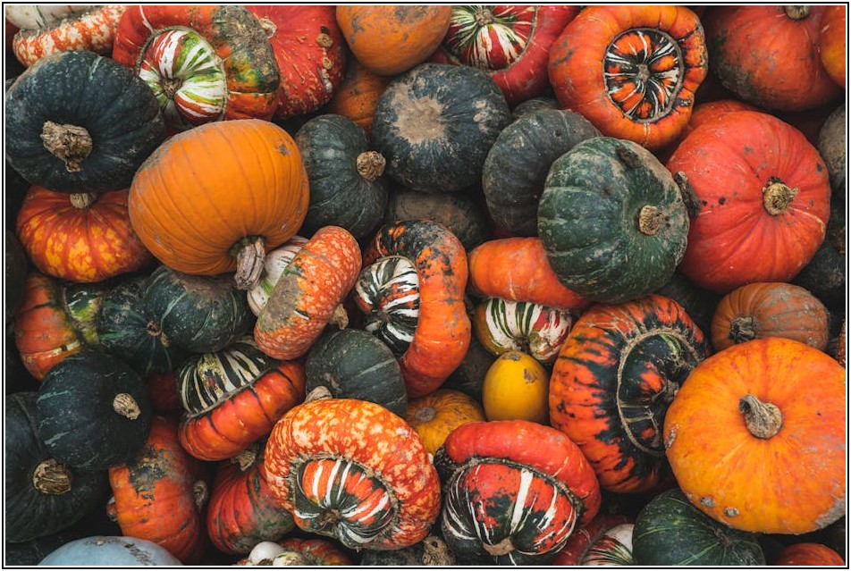 미국 증시 실시간 현황: 투자자를 위한 필수 분석