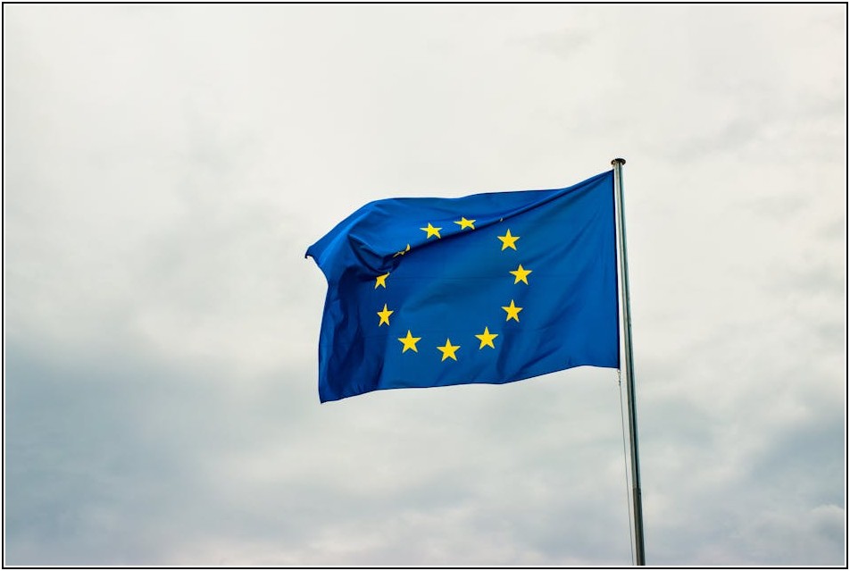 멋진 마당의 완성, 태극기 게양대 종류별 비교 분석