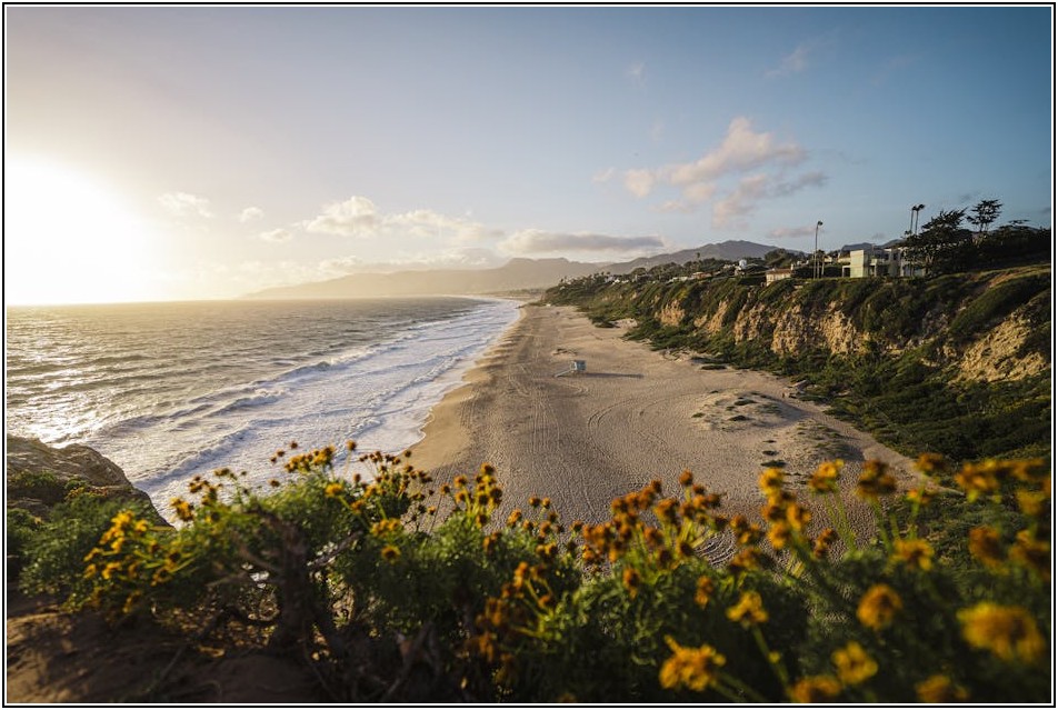 청라 고기 맛집: 환상적인 파티를 위한 가성비 총정리