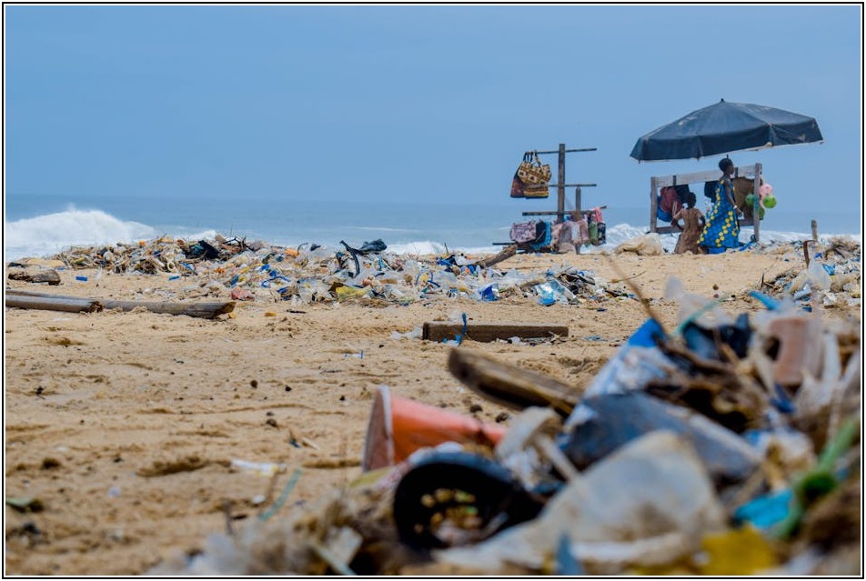현명한 선택! 플라스틱 카트, 적재량 vs 이동 편의성 분석