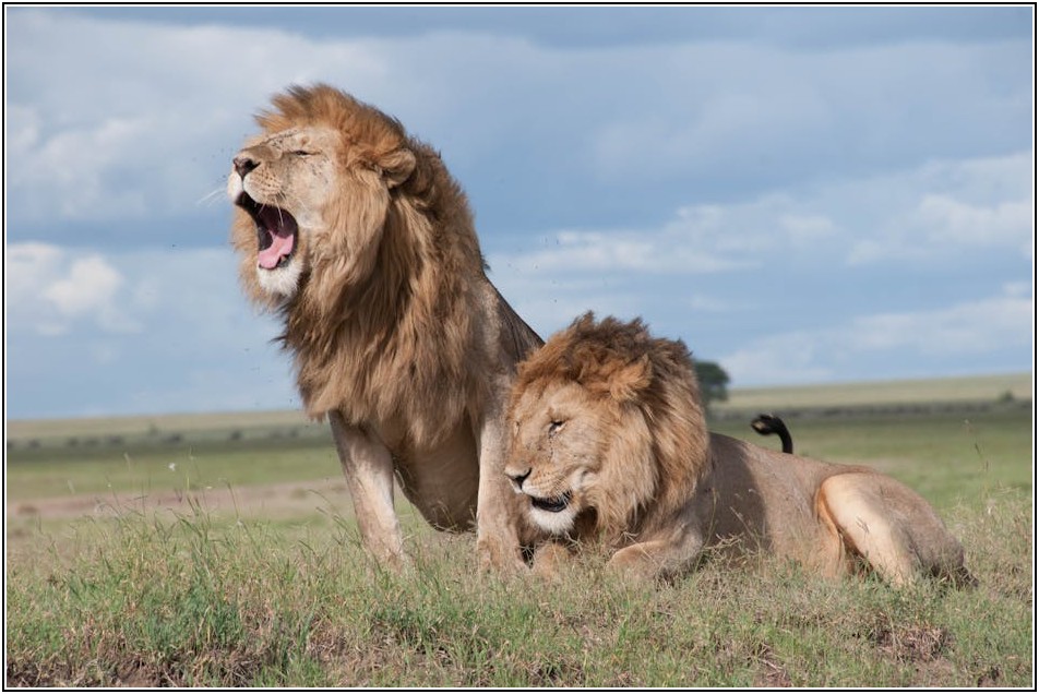 현명한 주부의 대형 밀폐 용기 관리 노하우