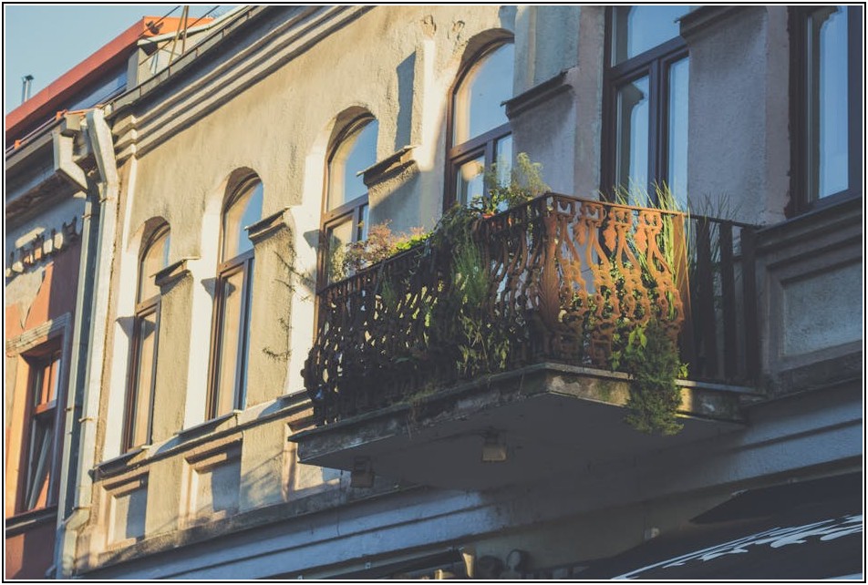 베란다 텃밭 가꾸기: 씨앗부터 모종까지 완벽 가이드