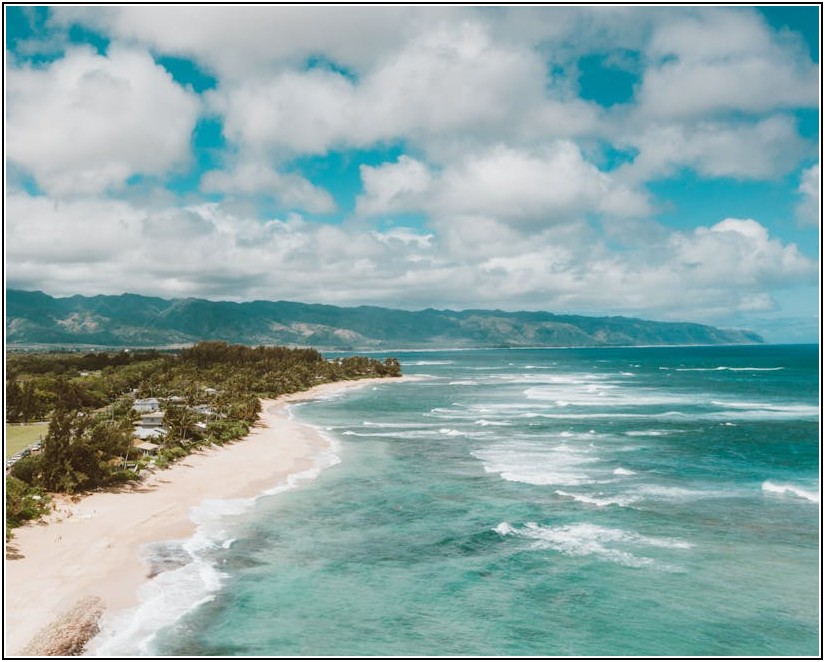 비둘기 둥지 때문에 골치? 실외기 청소 완벽 가이드