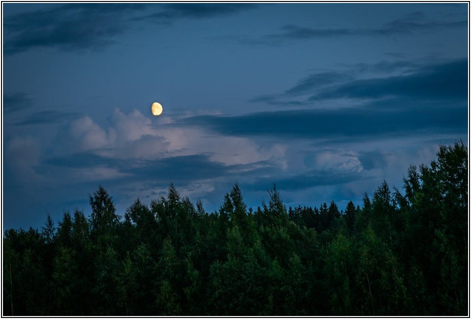 인천 도배 학원 선택 가이드: 실제 후기 분석