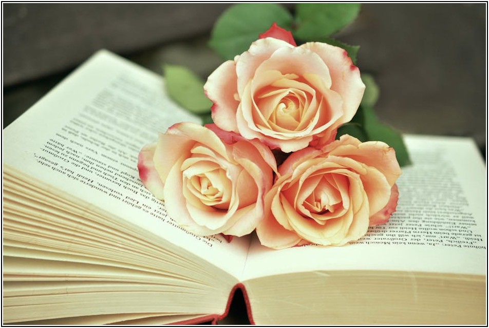 안심하고 증여하세요, 세금 절약 꿀팁 대공개