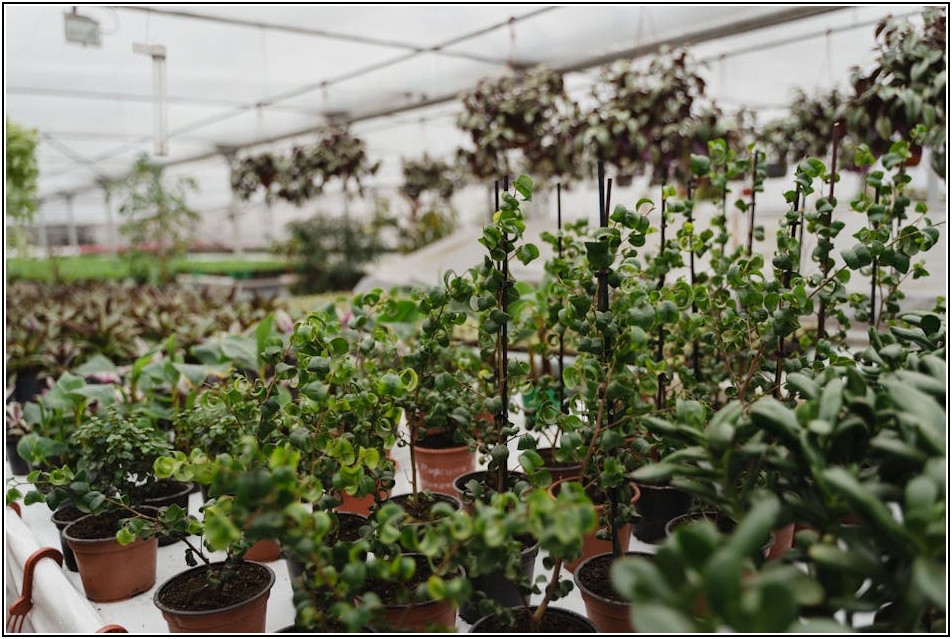 화분 흙, 어떻게 버려야 할까? 올바른 처리법 완벽 분석