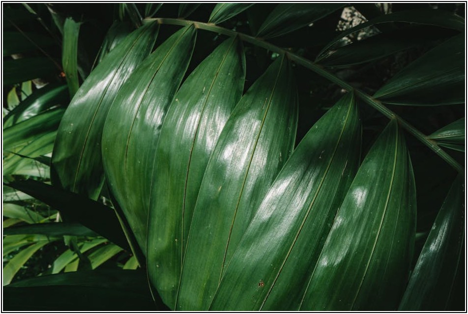 대형 화분, 당신의 정원을 풍요롭게 할 재활용 아이디어