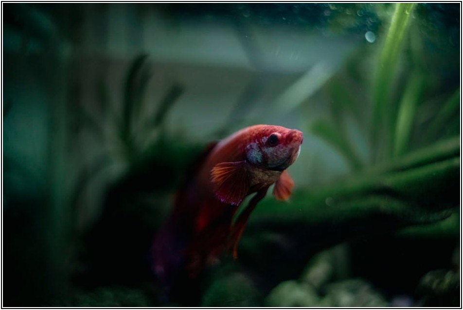 3톤 물탱크, 산업 현장의 필수품이 되는 다양한 활용 사례