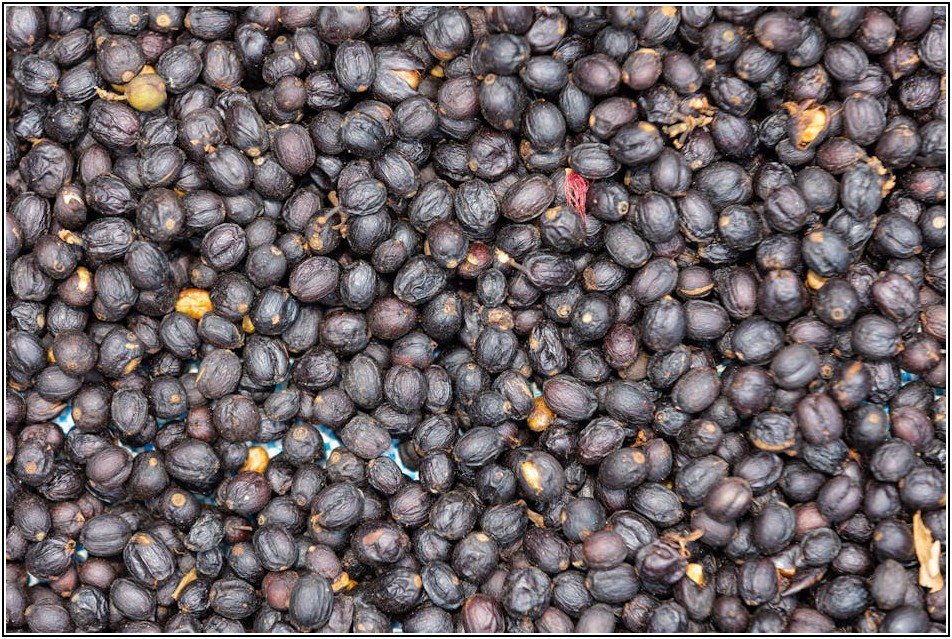 화물 운송 실패? 벌크로리 문제 해결 전략