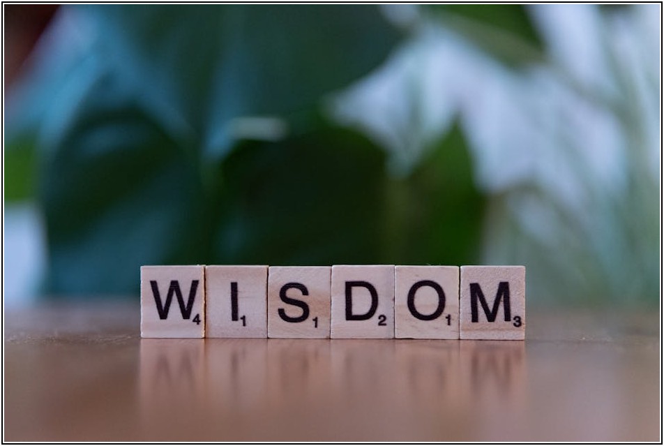 똑똑한 해외 생활, 영어 번역기 활용 비결