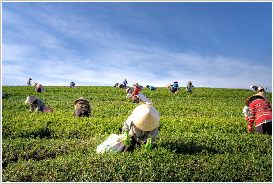농지 증여 시 계약서 작성, 어렵지 않아요