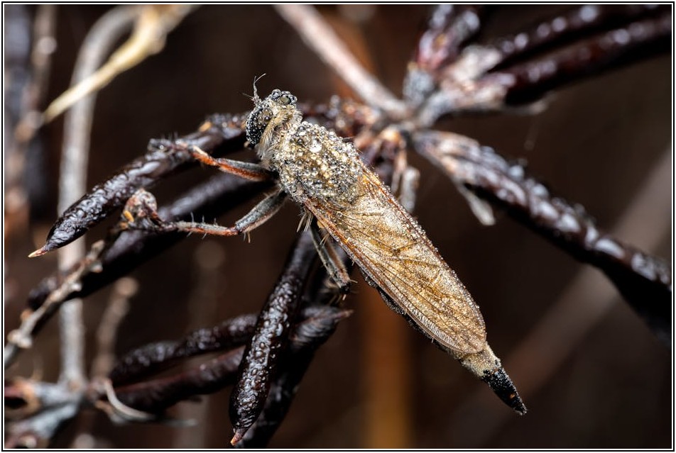압도적 비주얼, 레졸룸으로 VJing & 영상 편집 수준 UP