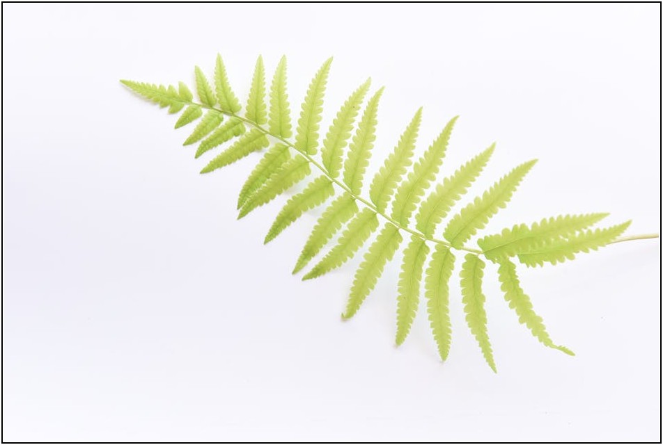 락카 마감의 새로운 기준, 무광 락카 완전 정복