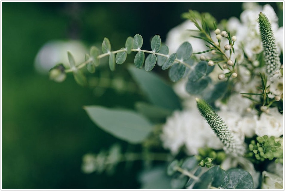 사실혼 관계, 동거 계약서로 든든하게 시작하기