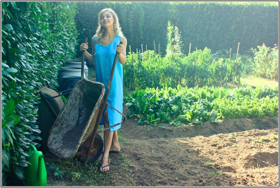 어떤 와펜을 고를까? 종류별 와펜 특징 상세 비교 가이드