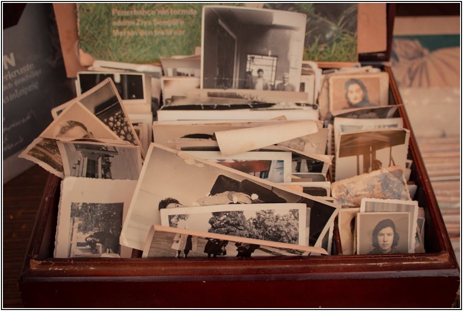 초보자도 성공! 복숭아 박스 포장의 모든 것 공개