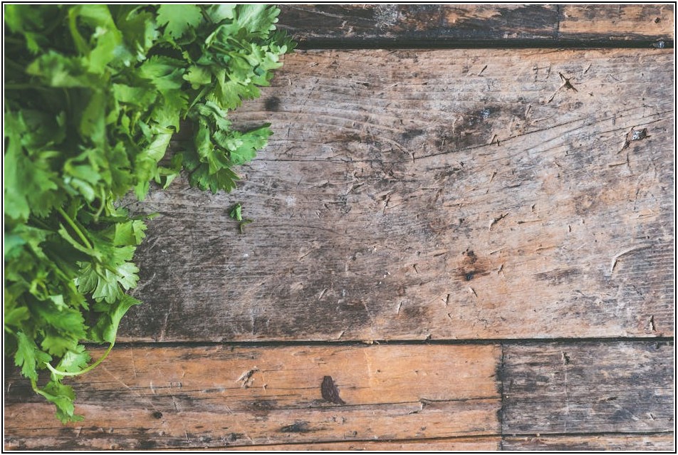 음식물 처리기 선택, 나에게 딱 맞는 제품 찾기