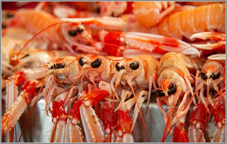 온라인 도매 마트 이용법: 구매부터 배송까지 완벽 가이드