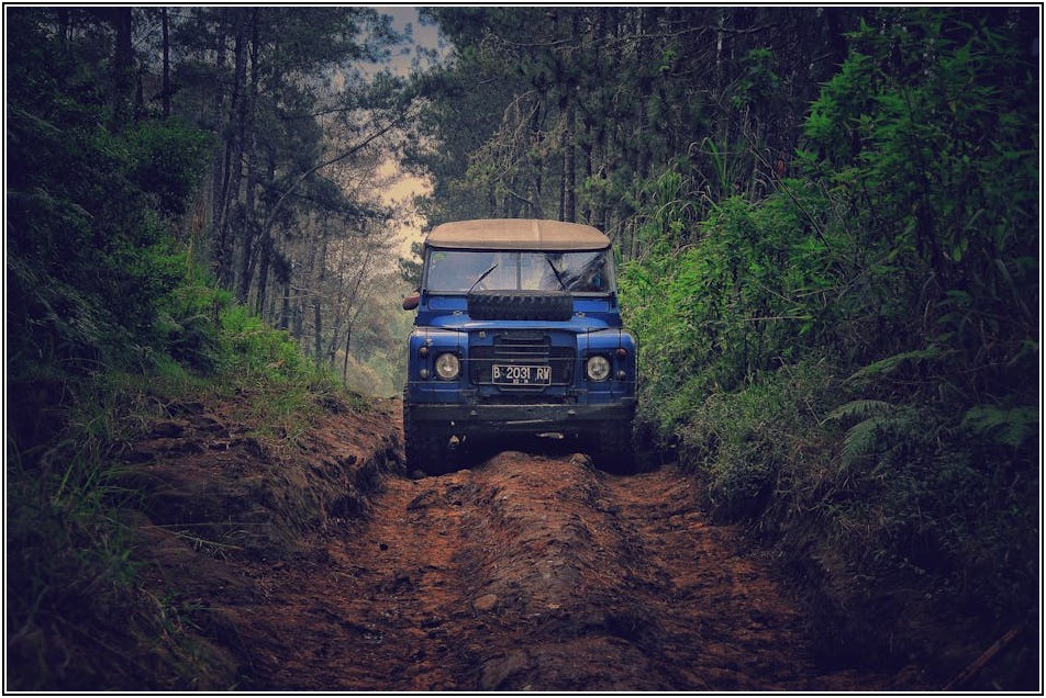 미래를 이끌 자율주행 관련주, 성장 잠재력 파헤치기