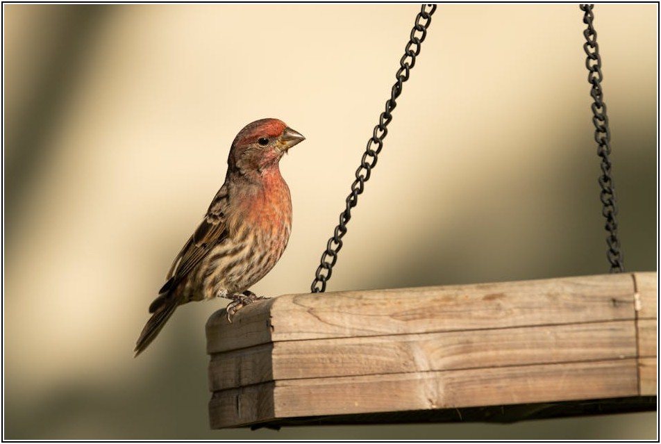 미국채 ETF 투자, 숨겨진 위험과 현명한 대처법