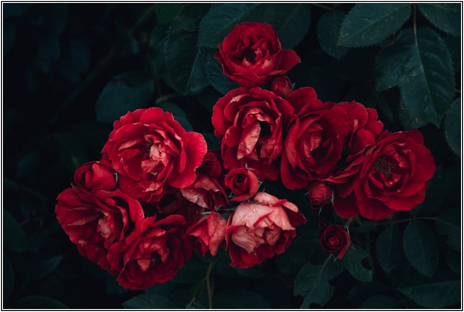 나만의 결혼식, 특별한 간식으로 채우기