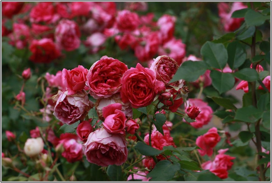 인테리어 효과 UP! 예쁜 냅킨, 스마트하게 고르는 법