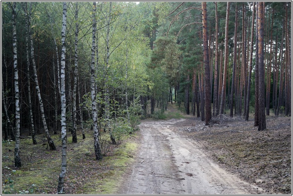 차량 사고 예방의 필수품, 매립식볼라드 설치 가이드