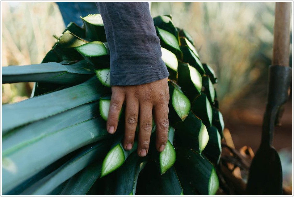 세상에 하나뿐인 사진책, 감동을 만드는 법