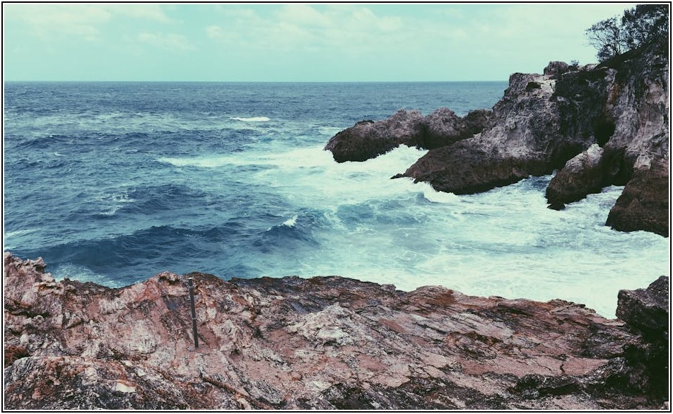 SAPPHIRE 그래픽 카드, 압도적인 성능의 비밀 공개