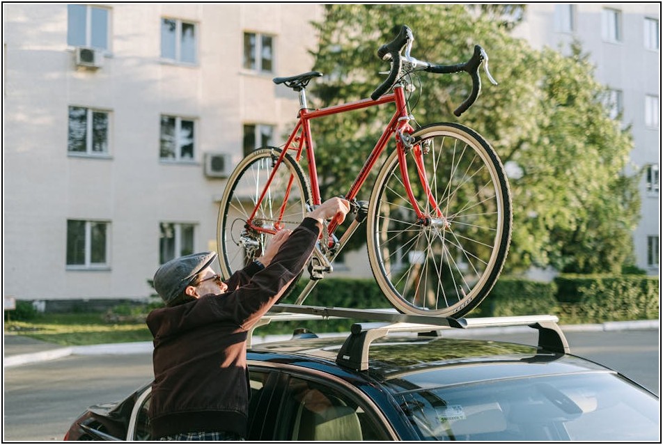 자동차 주차 번호판, 법규 위반 시 벌금 알아보기