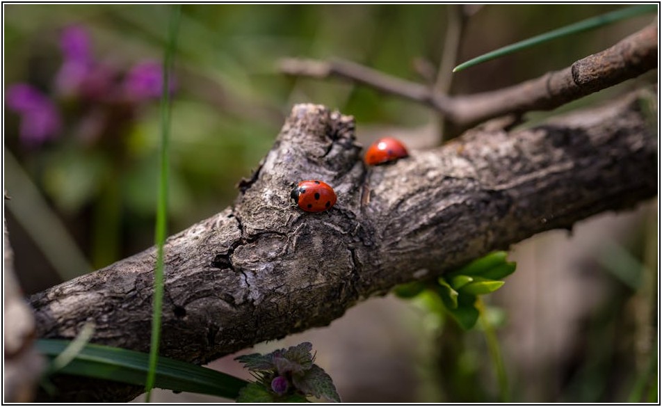 소액사건 승소, 막막하다면? 증거와 주장 비법 공개