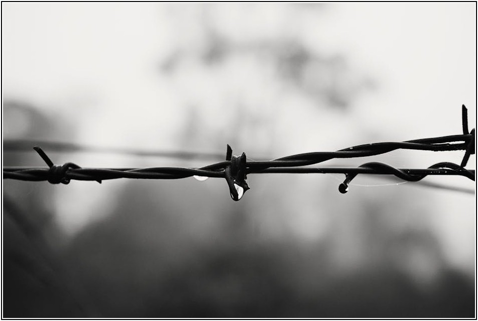 스텐 제품 녹, 이것만 알면 완벽 제거 가능